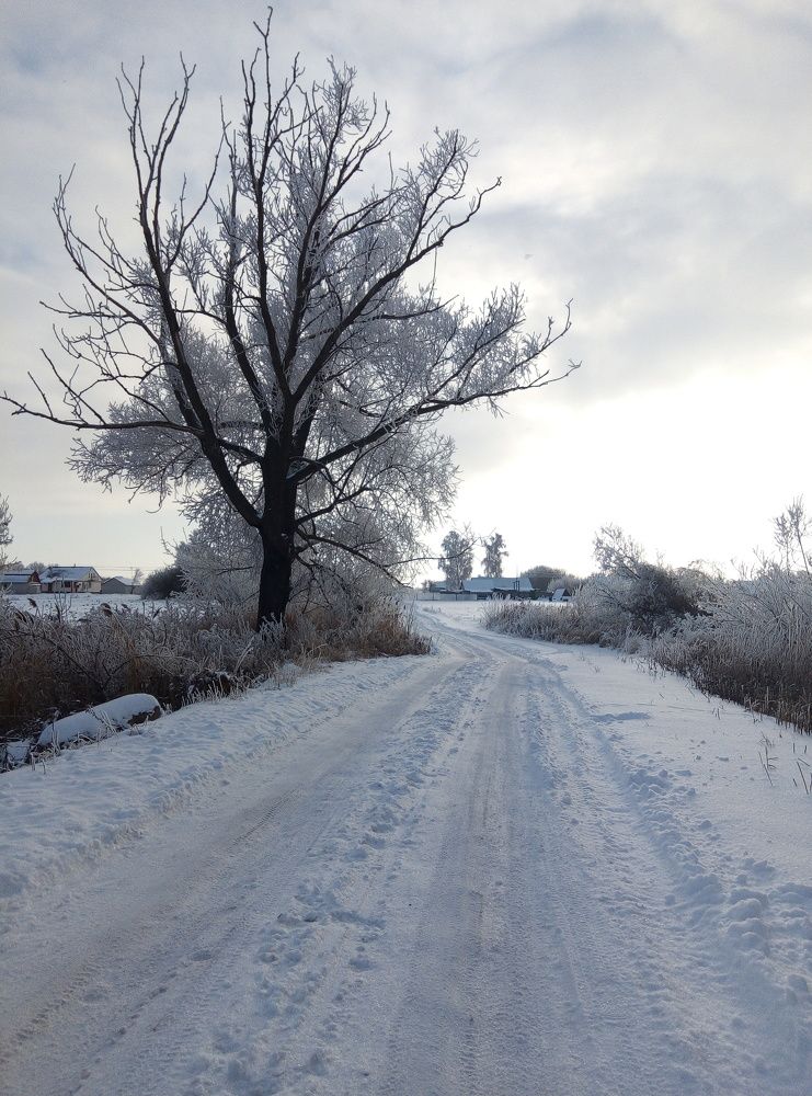 Photo #6148643