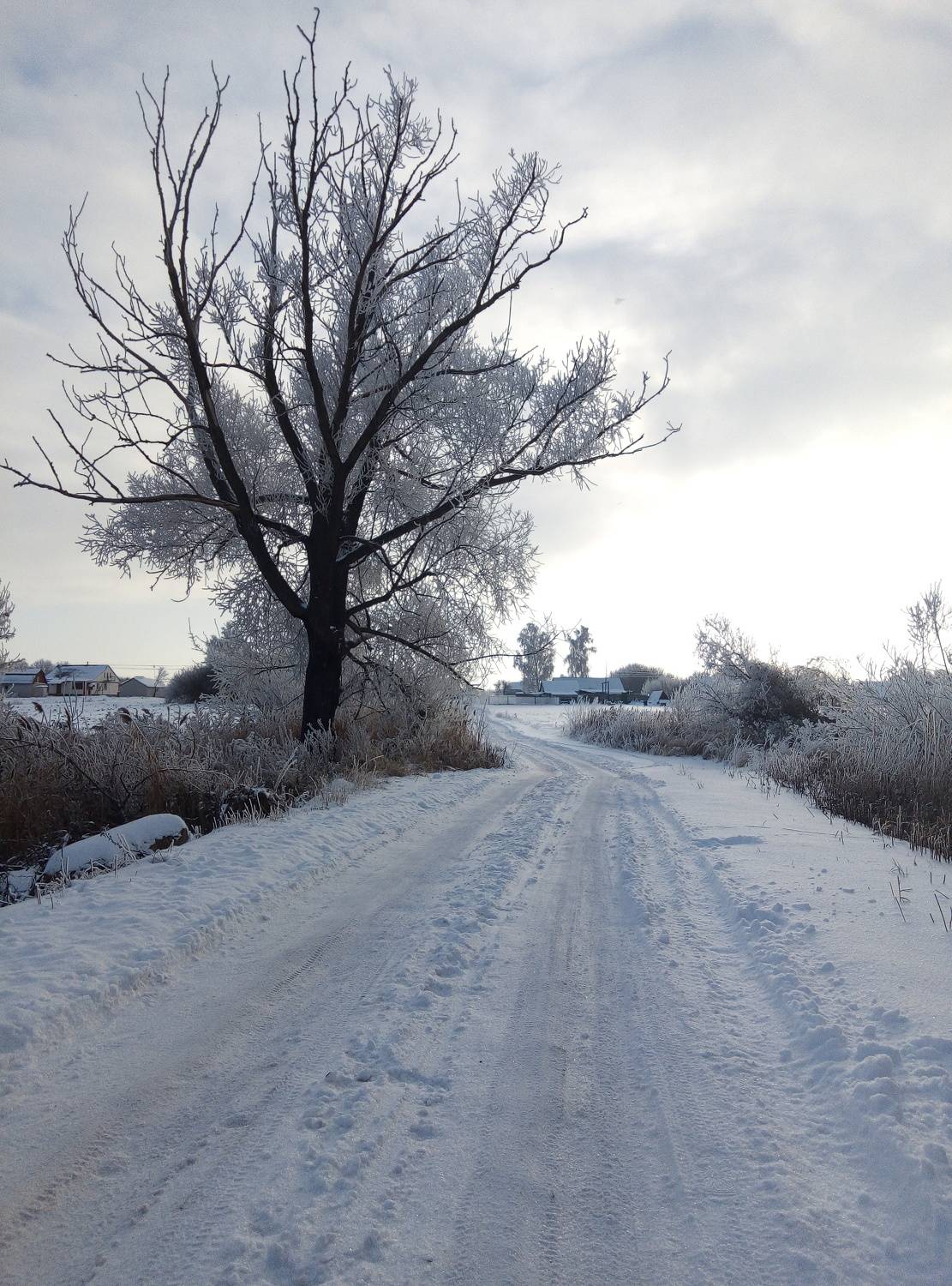 Photo #6148643