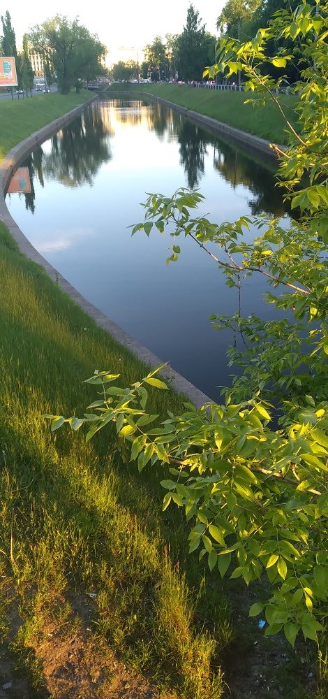 Photograph by Любовь Макарова