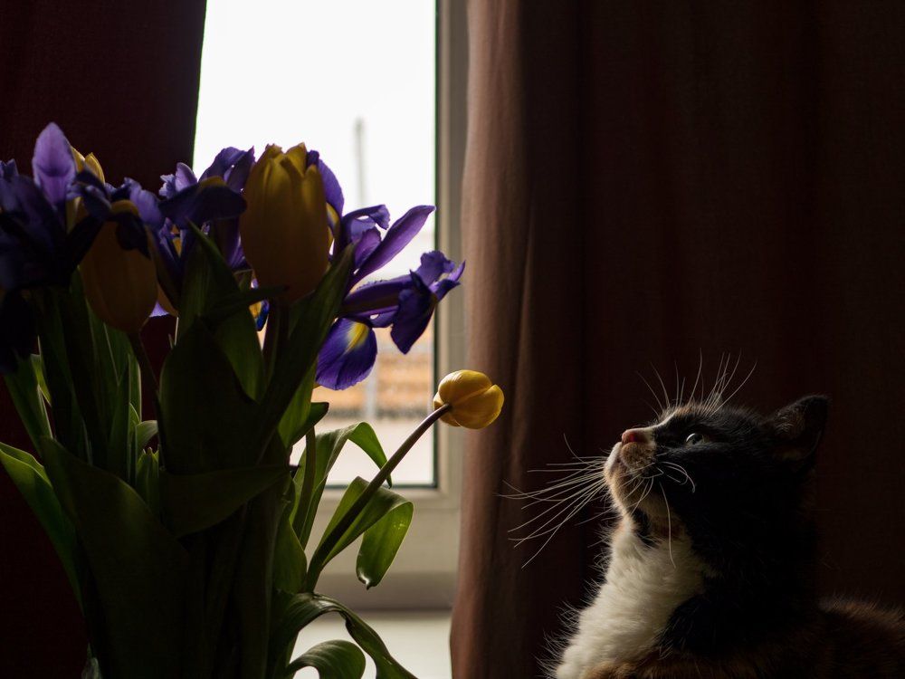 Photograph by Александр Максимов