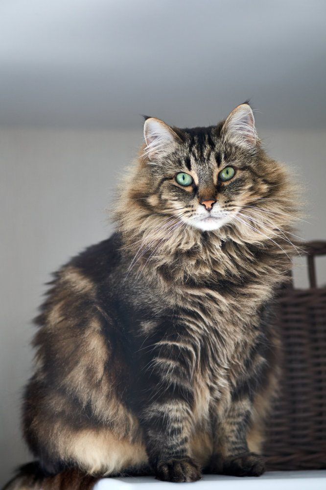 Photograph by Александр Максимов