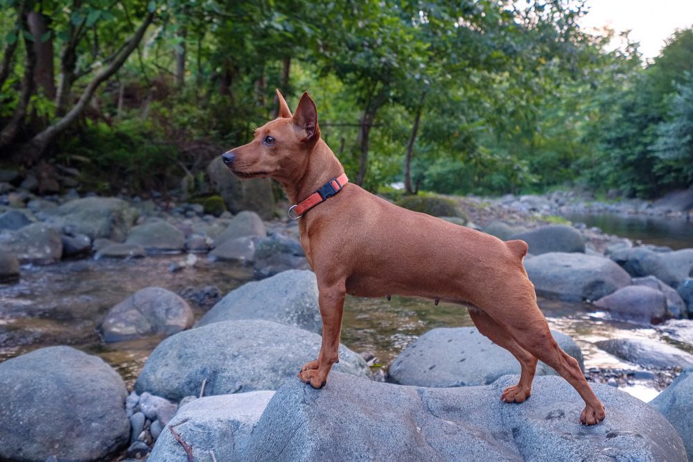 Photograph by Александр Максимов