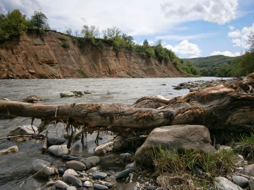 Photograph by Елена Котлярова