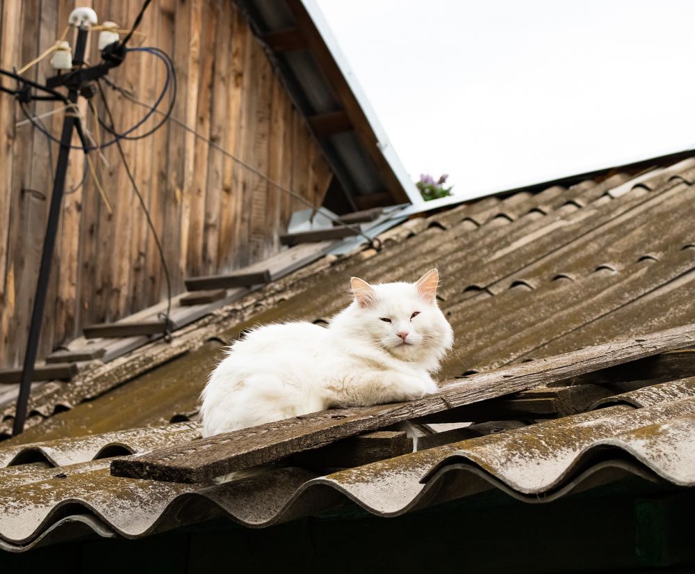 Photograph by Виктория Козинец