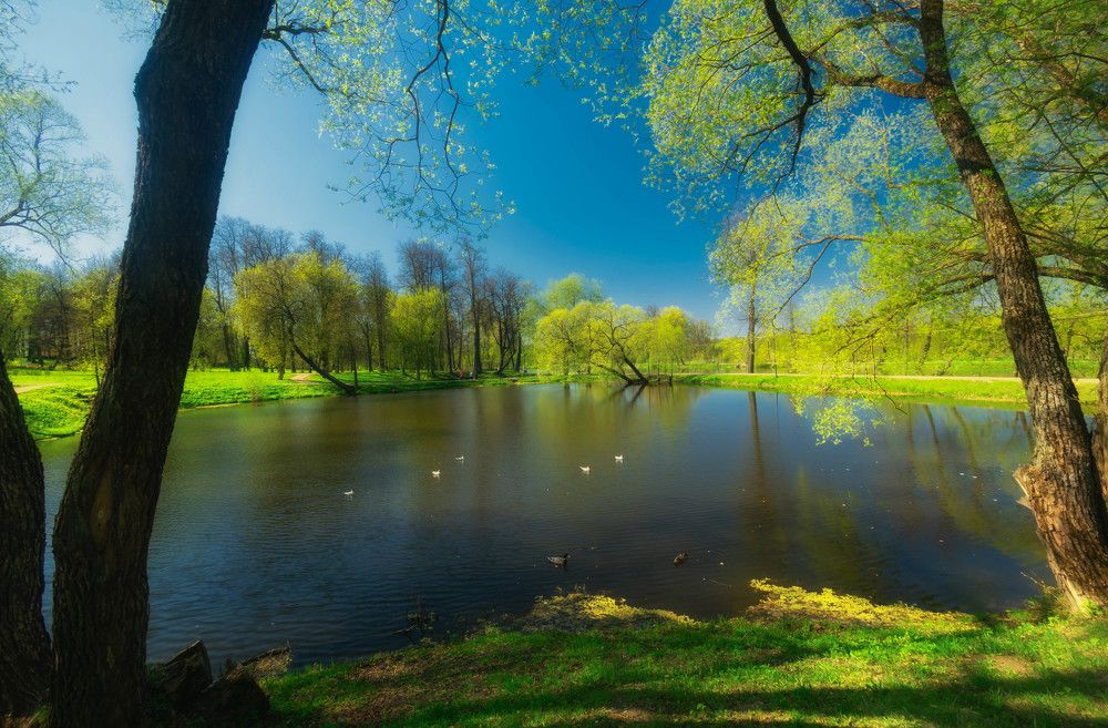 весенний день