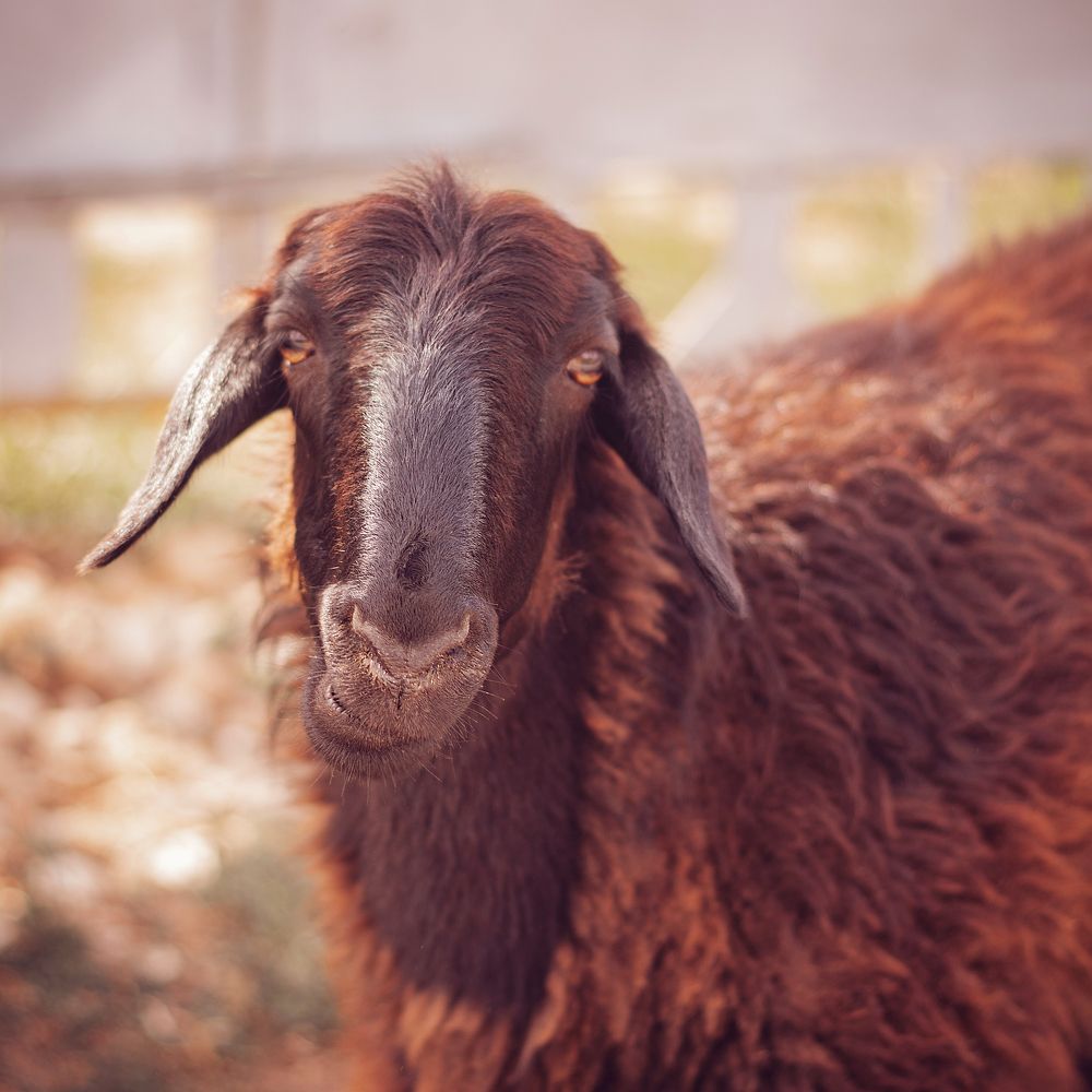 Photograph by Виктория Козинец