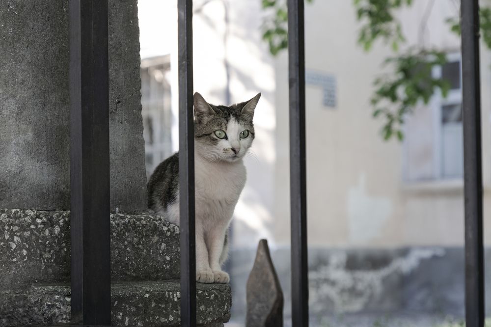 Photograph by Елена Гусева