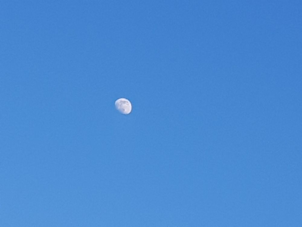 Photograph by Ліана Устимчук