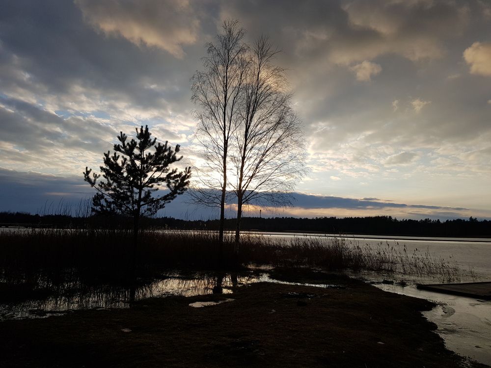 Photograph by Ліана Устимчук