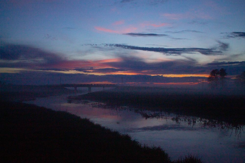 Майский туман