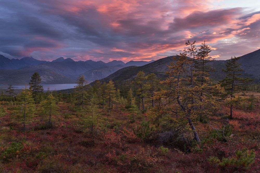 Photograph by Юрий Головченко