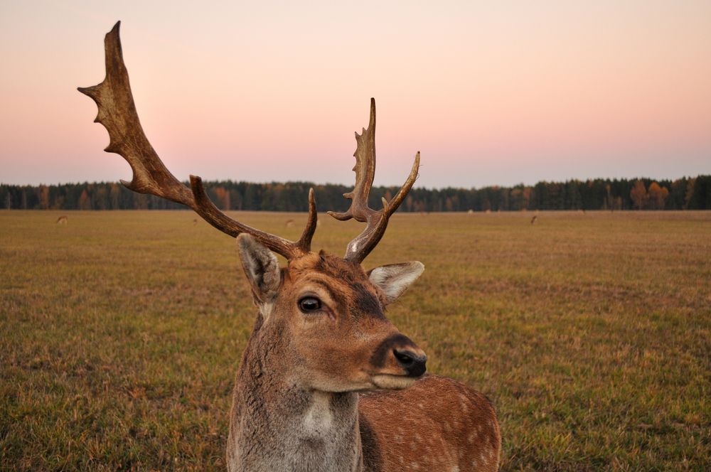Photograph by Евгений