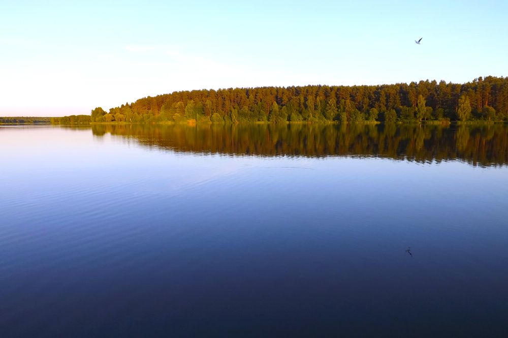 Река Свислочь 2