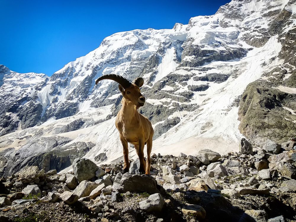 Photograph by Юрий Головченко