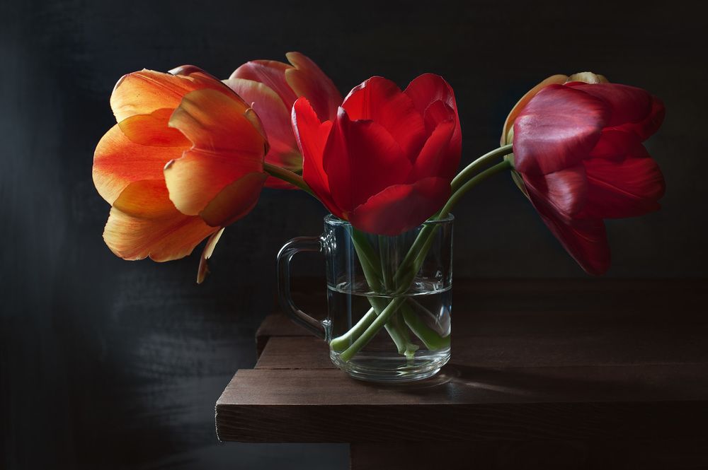 Photograph by Владимир Тузлай