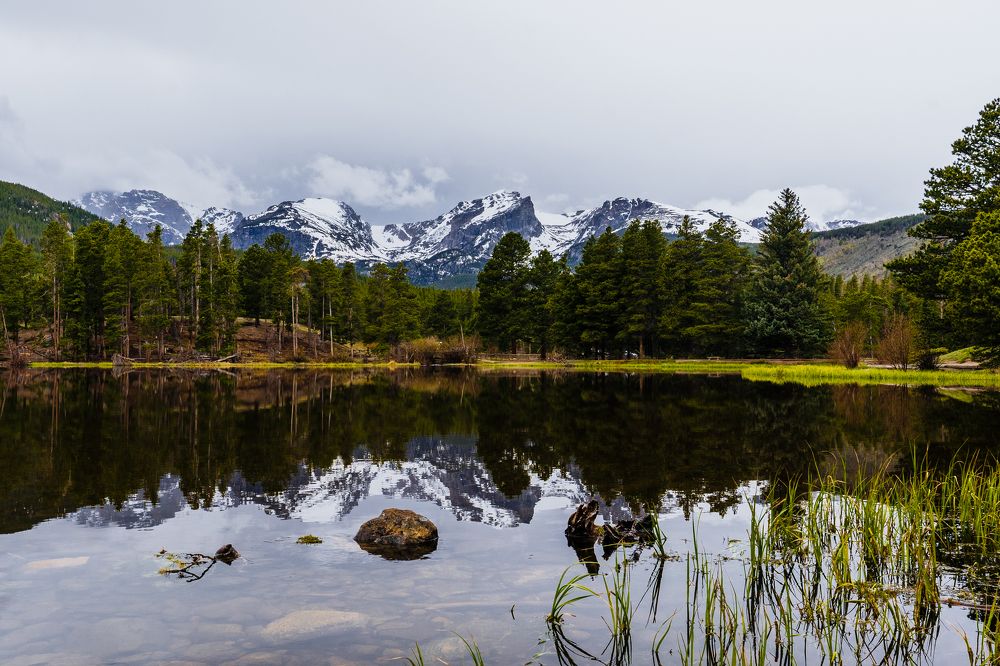 Photograph by Светлана