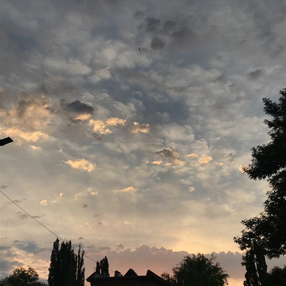 Photograph by Яна Шапошникова