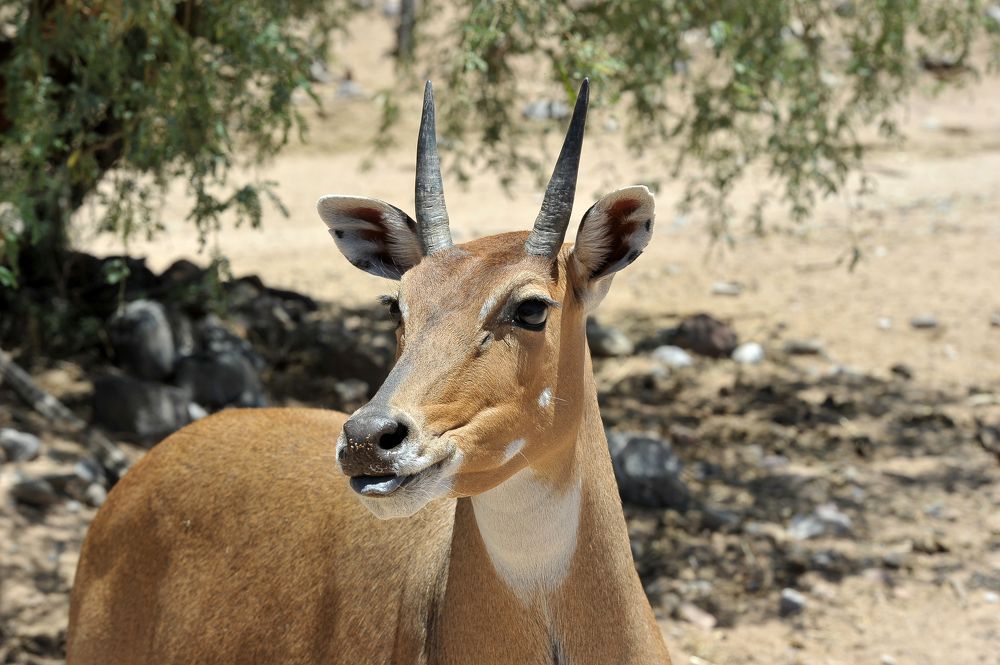 Photograph by Анна Кривицкая