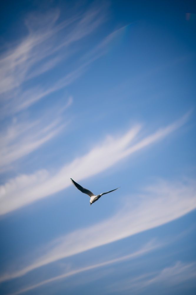 Photograph by Анна Белка