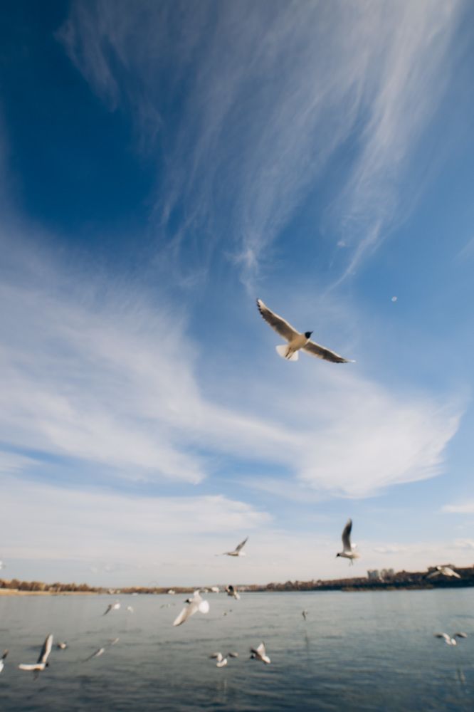 Photograph by Анна Белка