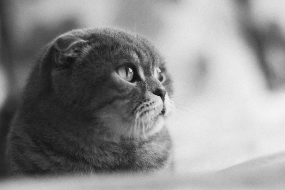 Photograph by Иван Кривец