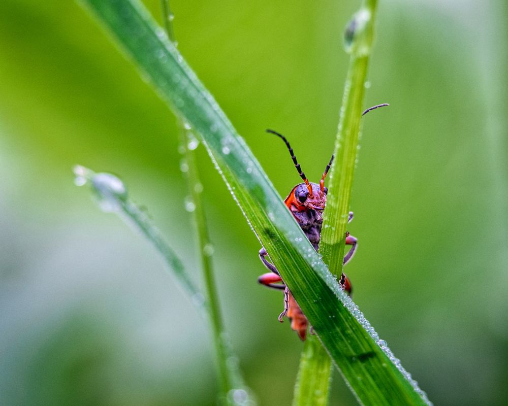 Фотография автора владимир шаронов