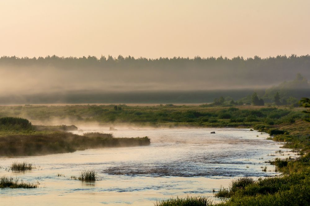 река Великая, Псковская область