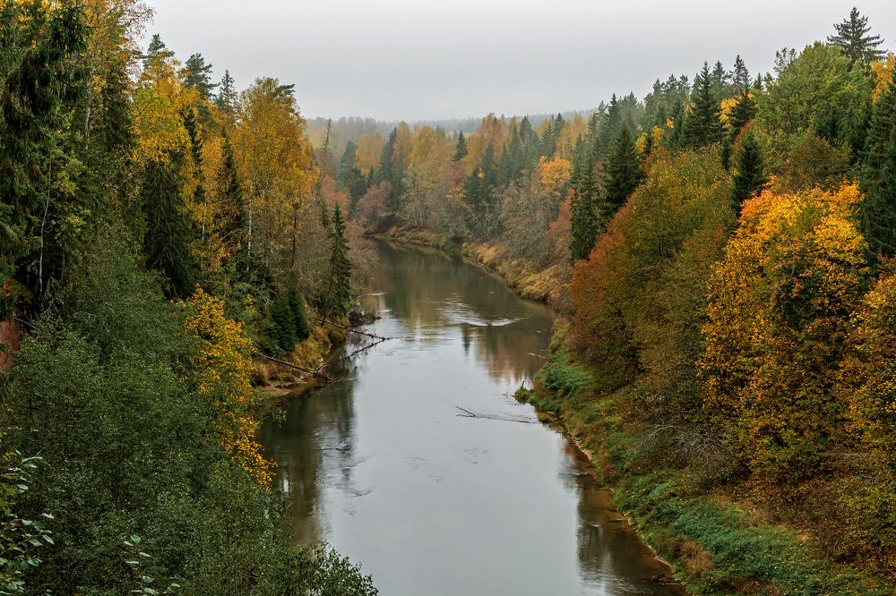 река Плюсса, Псковская область