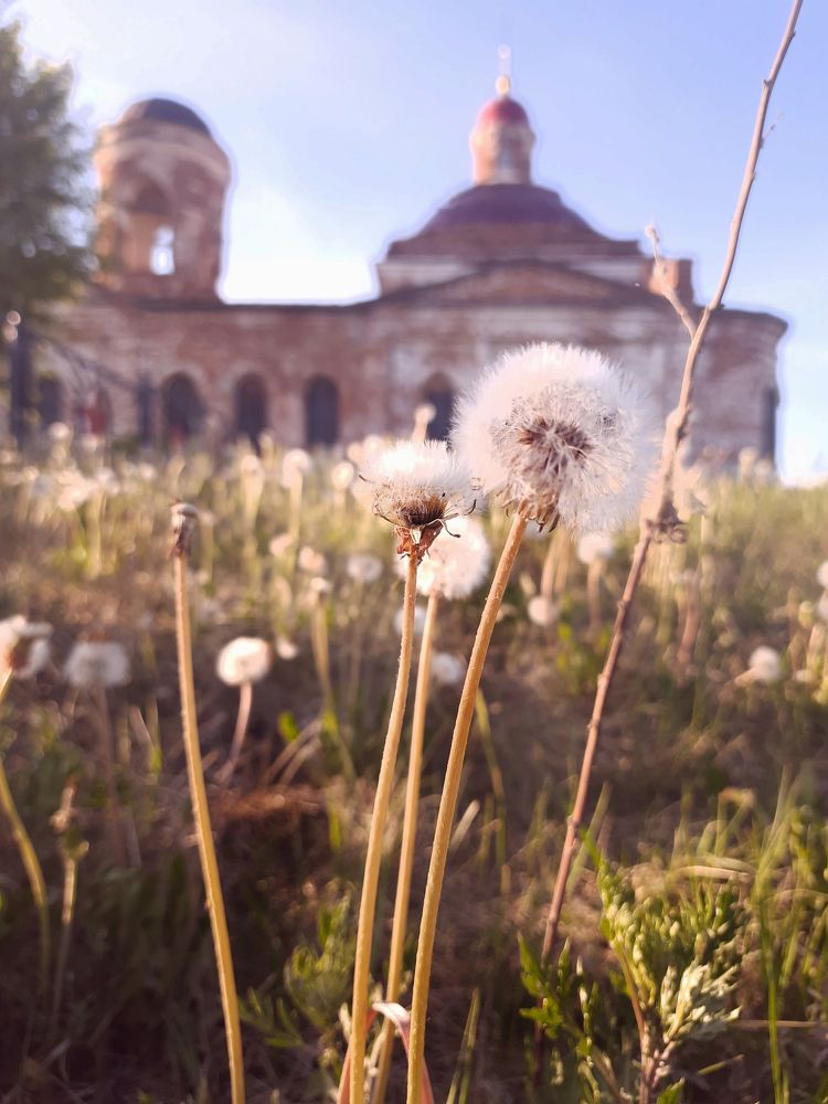 Photograph by Юлия Полякова