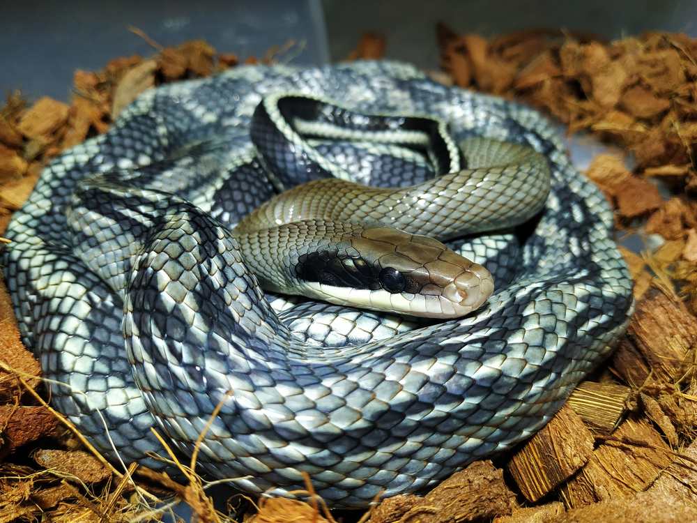 Photograph by Роман Далькевич