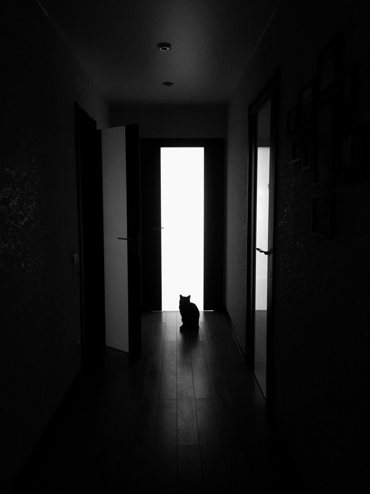 Photograph by Сергей Марков