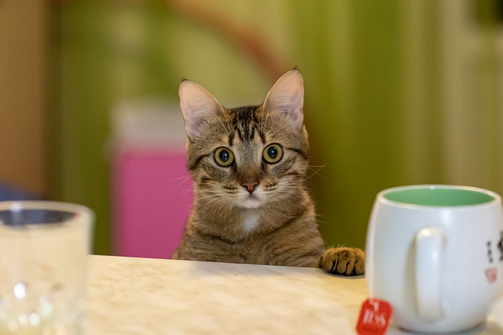 Photograph by Анатолий Павлович