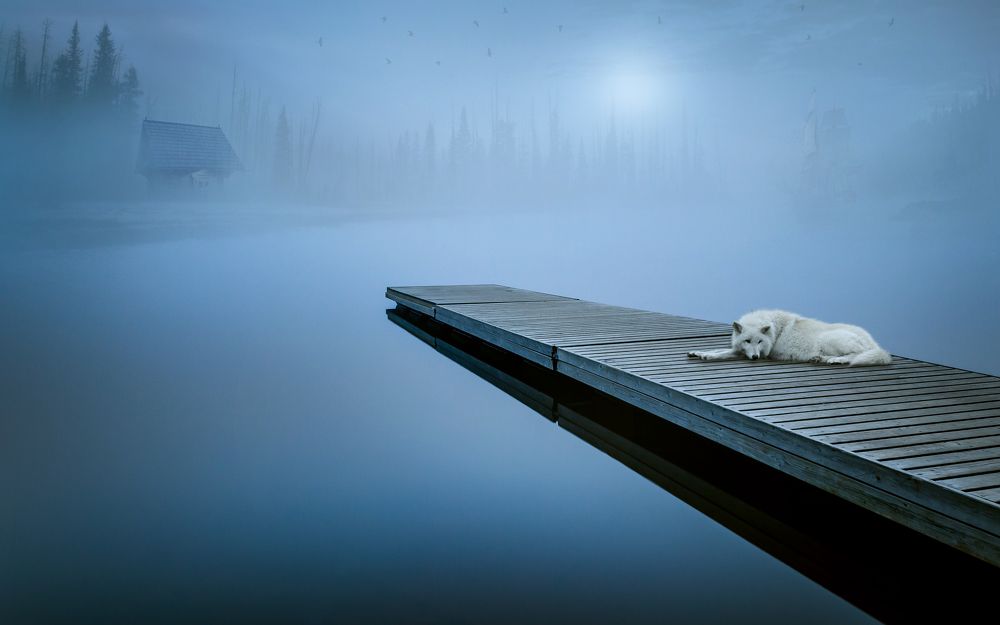 Photograph by Tatevik Tananyan