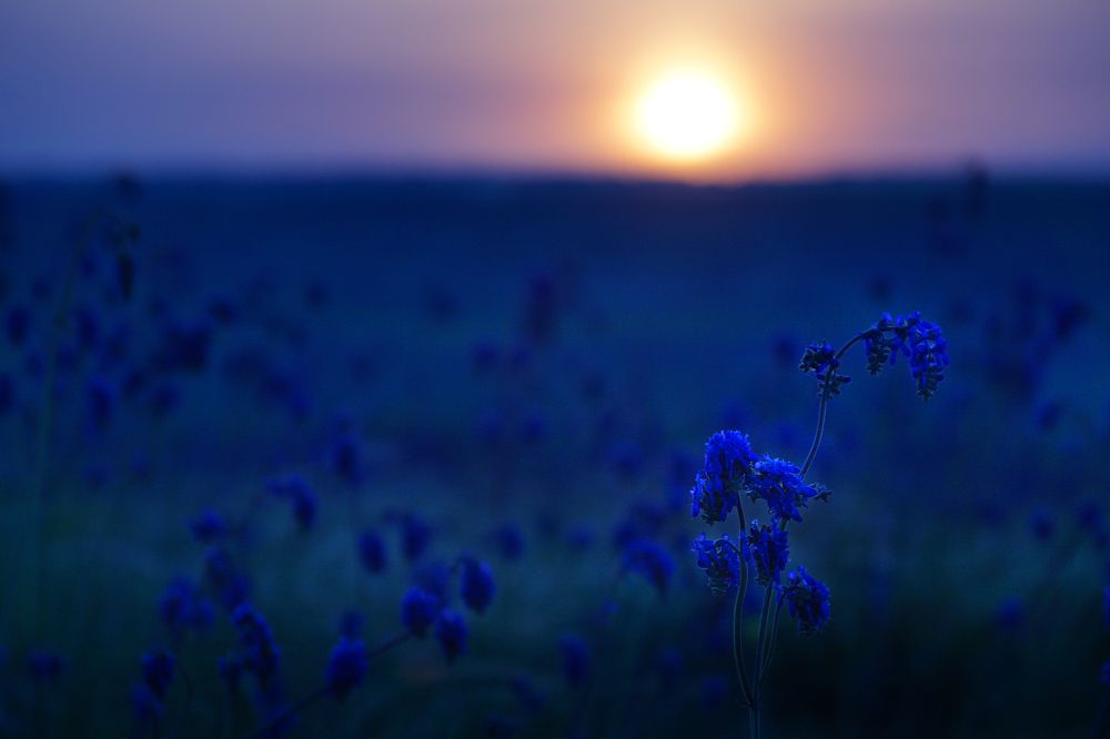 Краски природы