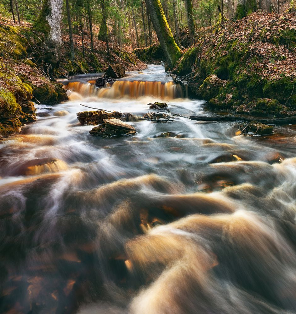 Photograph by Dace Spalviņa