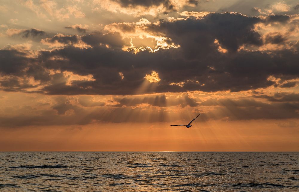 Photograph by Юрий Чернов