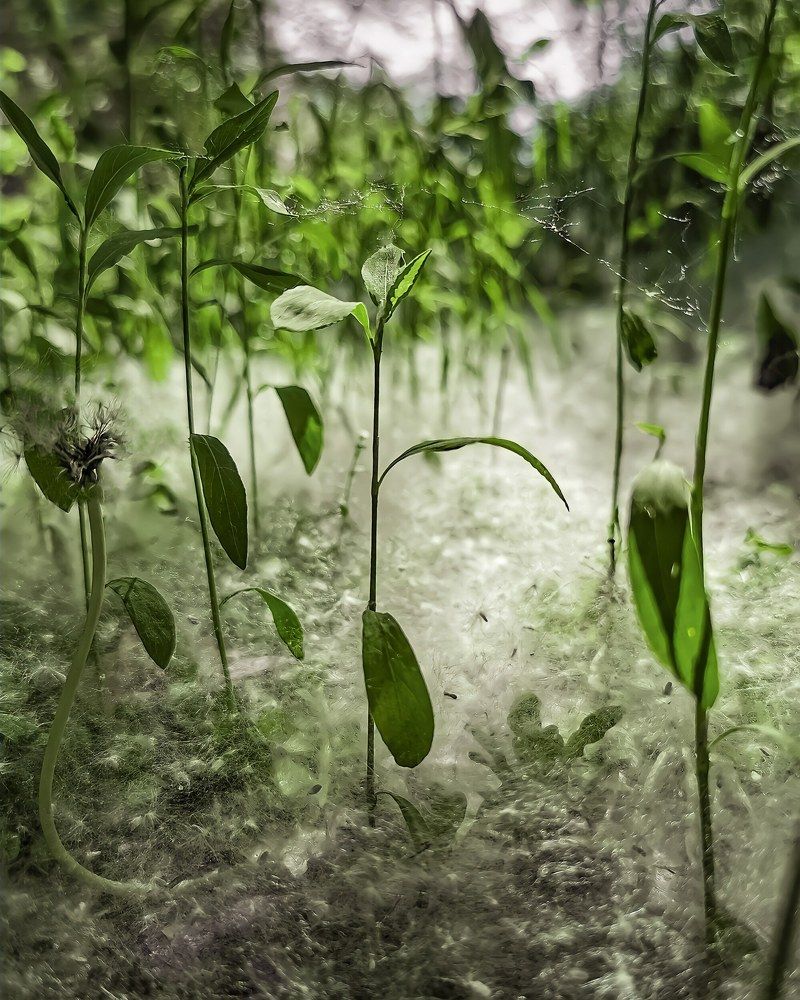 Photograph by Сергей Таранов