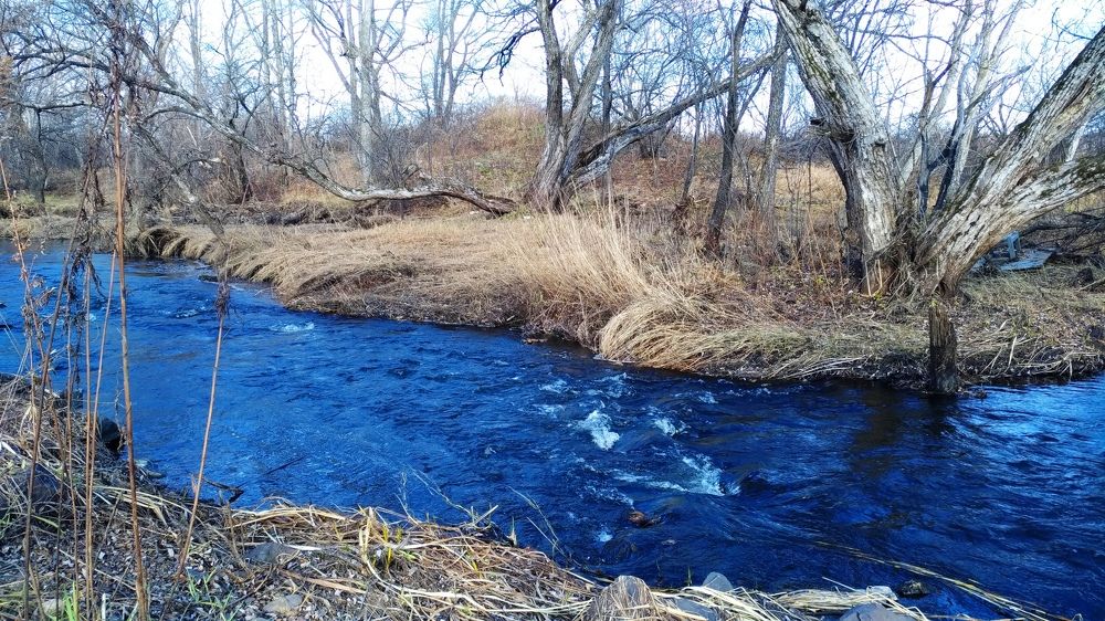 Photograph by Svetlana Victorovna Kibyakova