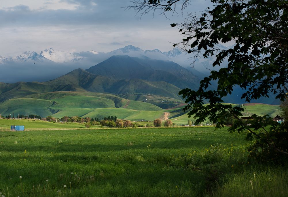 Photograph by Дмитрий Лысогоров