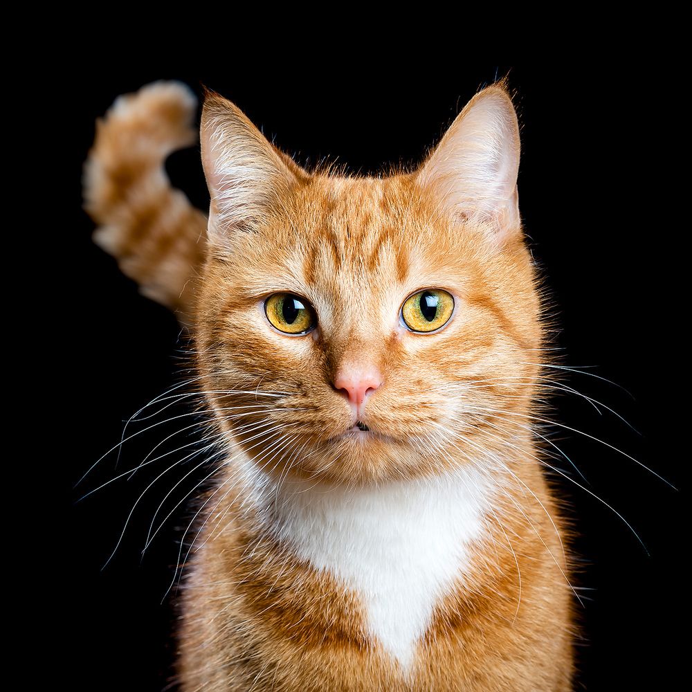 Photograph by Александр Абросимов