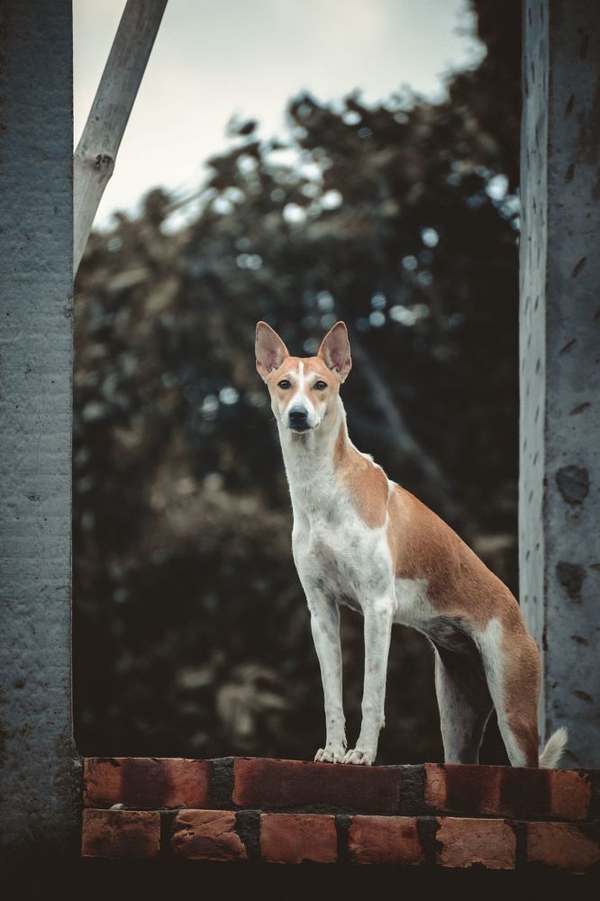 Photograph by Yukti Adhikary