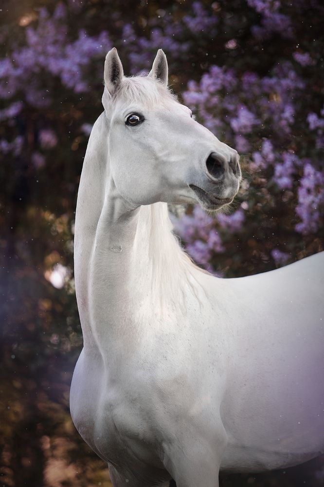 Photograph by Дарья Ералева