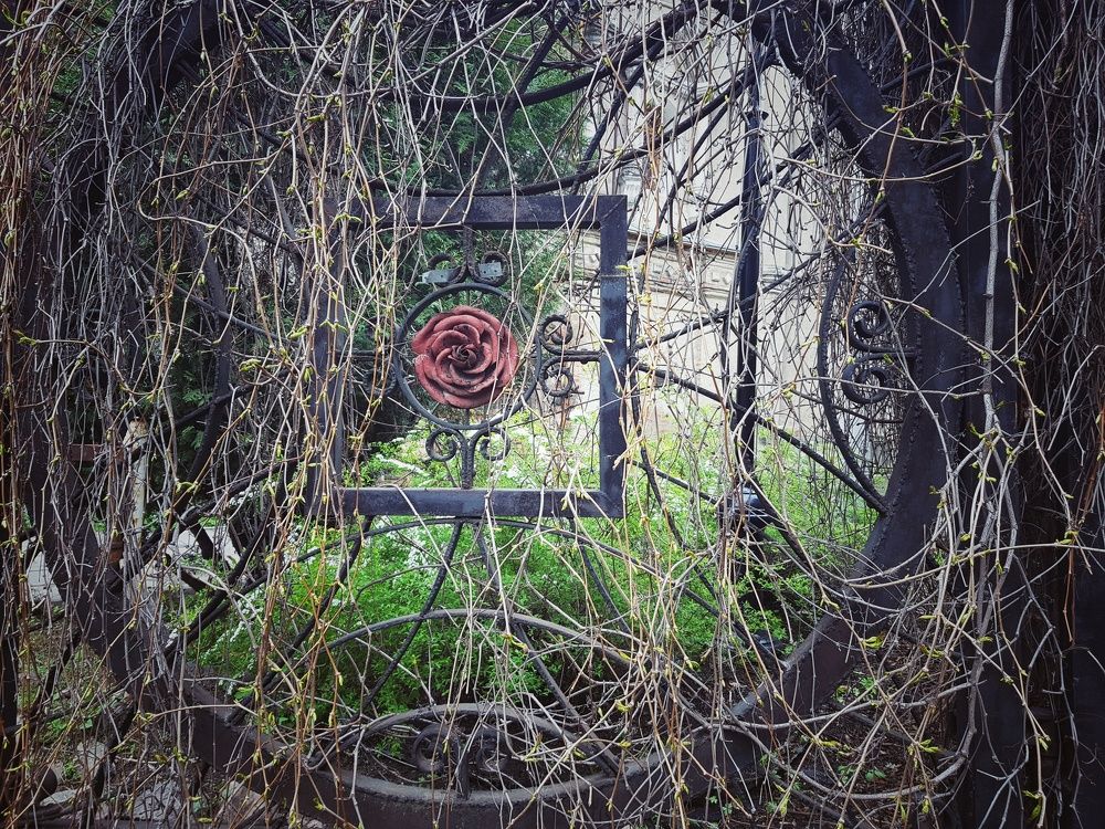 Photograph by Svetlana Khromova