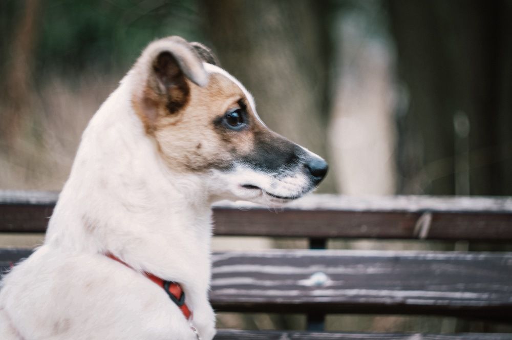 Photograph by Татьяна Гринько