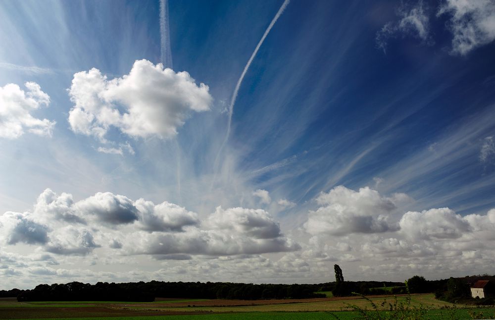 Photograph by Дмитрий Лысогоров