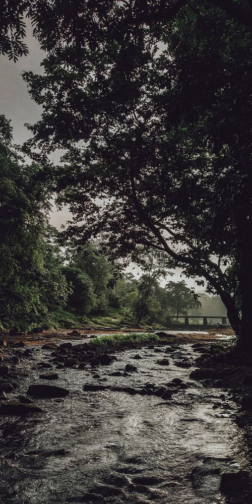 Photo #6149775
