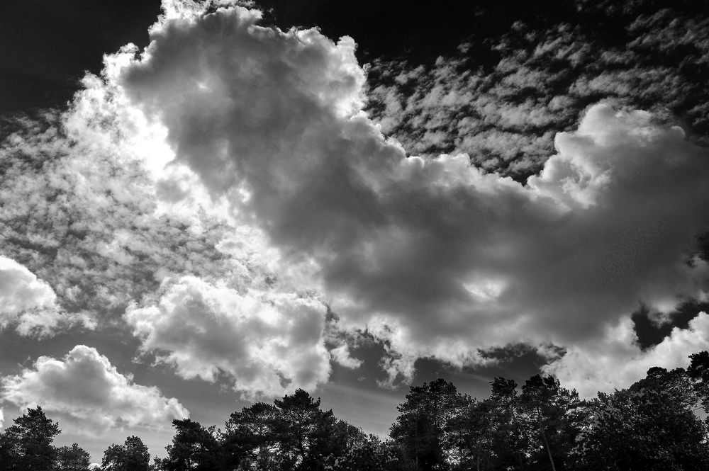 Photograph by Дмитрий Лысогоров