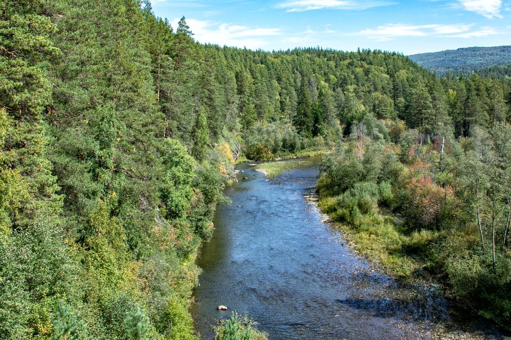 Photograph by Валерий Шорохов