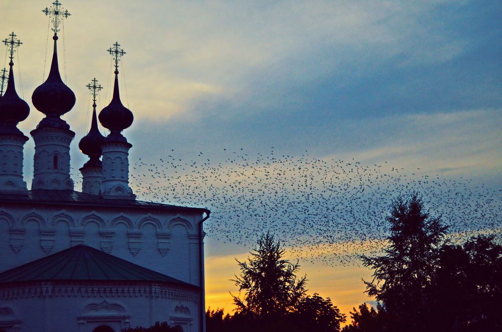 Photograph by Мария Дубова