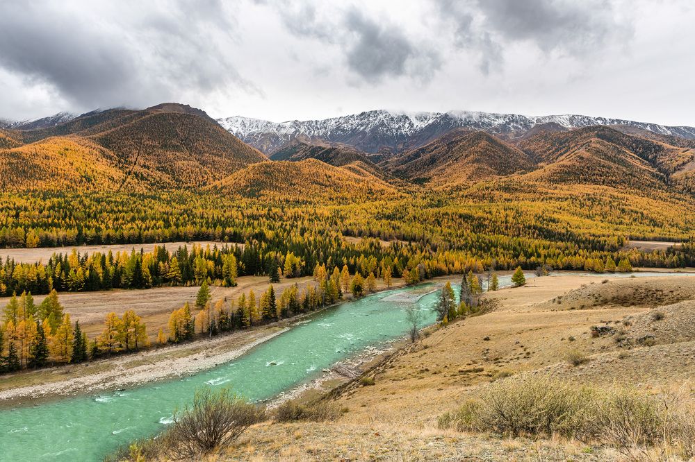 Photograph by Алексей Парфенов